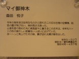 2013-12-11 写真展 005