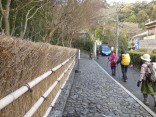 ２０１４ -1-19京都　松尾山 191