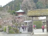 ２０１４ -1-19京都　松尾山 271