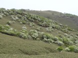 DSC02167