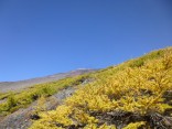 10-19宝永山 106