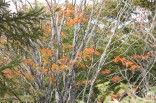 IMG_8759