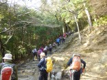 2015-2-15速玉・神倉神社～高野峠 093