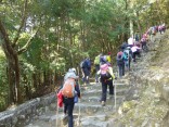 2015-2-15速玉・神倉神社～高野峠 095