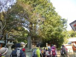 2015-2-15速玉・神倉神社～高野峠 034