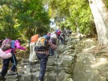 2015-2-15速玉・神倉神社～高野峠 089