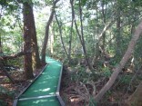 2015-2-15速玉・神倉神社～高野峠 159