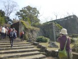 2015-2-15速玉・神倉神社～高野峠 180