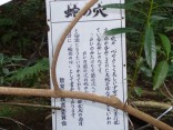 2015-2-15速玉・神倉神社～高野峠 157