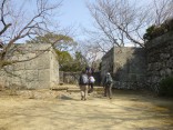 2015-2-15速玉・神倉神社～高野峠 194