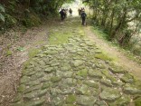 2015-2-15速玉・神倉神社～高野峠 292