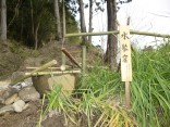 2015-2-15速玉・神倉神社～高野峠 297