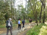 2015-2-15速玉・神倉神社～高野峠 221