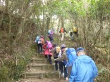 2015-2-15速玉・神倉神社～高野峠 263