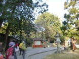 2015-2-15速玉・神倉神社～高野峠 033