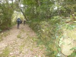 2015-2-15速玉・神倉神社～高野峠 281