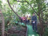 2015-2-15速玉・神倉神社～高野峠 160