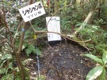 2015-2-15速玉・神倉神社～高野峠 156