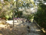 2015-2-15速玉・神倉神社～高野峠 135