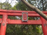 2015-2-15速玉・神倉神社～高野峠 283