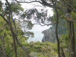 2015-2-15速玉・神倉神社～高野峠 268