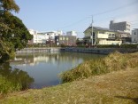 2015-2-15速玉・神倉神社～高野峠 162