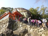 2015-2-15速玉・神倉神社～高野峠 103