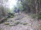 2015-2-15速玉・神倉神社～高野峠 278