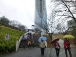 2015-3-1東山動植物園・ﾘﾆｱ 103