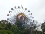 2015-3-1東山動植物園・ﾘﾆｱ 107