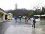 2015-3-1東山動植物園・ﾘﾆｱ 112