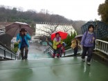 2015-3-1東山動植物園・ﾘﾆｱ 093