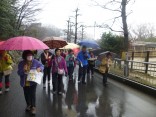 2015-3-1東山動植物園・ﾘﾆｱ 006