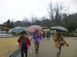 2015-3-1東山動植物園・ﾘﾆｱ 070