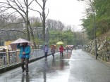 2015-3-1東山動植物園・ﾘﾆｱ 106