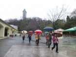 2015-3-1東山動植物園・ﾘﾆｱ 111