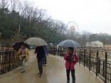 2015-3-1東山動植物園・ﾘﾆｱ 008