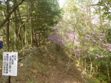 山2015-4-18鳳来寺 187