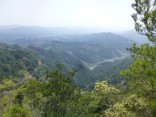 山2015-4-18鳳来寺 276