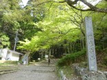 山2015-4-18鳳来寺 018