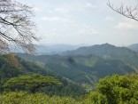 山2015-4-18鳳来寺 129