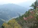 山2015-4-18鳳来寺 289