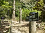 山2015-4-18鳳来寺 135