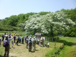 2015-5-10尾張富士・本宮山 105