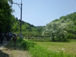 2015-5-10尾張富士・本宮山 102