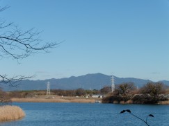 豊橋公園 009