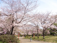 豊橋公園 080