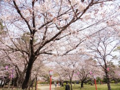 豊橋公園 067