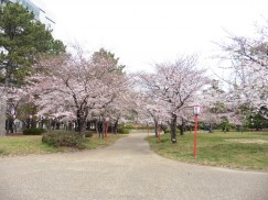 豊橋公園 052