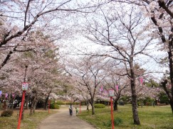 豊橋公園 055